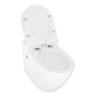 Товар: Унитаз импульсный Azario 360х570х450 напольный, полукруглый, быстросъемное сиденье микролифт (AZ-102) арт-AZ102 - фото 3 Унитаз импульсный Azario 360х570х450 напольный, полукруглый, быстросъемное сиденье микролифт (AZ-102) арт-AZ102 — фото 3, Напольные унитазы