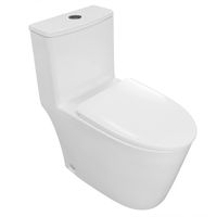 Унитаз-моноблок Azario ANSA 385х695x775 безободковый, в комплекте с сиденьем дюропласт микролифт, белый арт-AZ-2301 — фото 1, Напольные унитазы