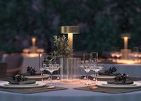 Товар: Аккумуляторный светильник Maytoni MOD229TL-L3G3K1 - фото 9 Аккумуляторный светильник Maytoni MOD229TL-L3G3K1 — фото 9, Настольные лампы