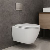 Унитаз подвесной Azario TERSO 495x360x370 безободковый, слив "Скрытое Торнадо" с быстросъемным сиденьем "Микролифт" арт-AZ-092E-UQ3 — фото 13, Подвесные унитазы