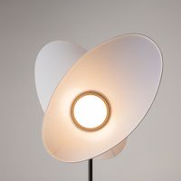 Товар: Напольный светильник (торшер) Maytoni MOD396FL-L10W3K - фото 14 Напольный светильник (торшер) Maytoni MOD396FL-L10W3K — фото 14, Торшеры