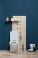 Товар: Чаша напольного унитаза Aquanet Rimless Cetus-C1 BL-102N-TPT - фото 27 Чаша напольного унитаза Aquanet Rimless Cetus-C1 BL-102N-TPT — фото 27, Напольные унитазы