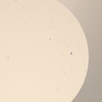 Товар: Настенный светильник (бра) Outdoor O598WL-01B - фото 7 Настенный светильник (бра) Outdoor O598WL-01B — фото 7, Уличное освещение