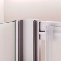 Душевой уголок RGW PA-76 (PA-016 + Z-050-2) 1400x800, профиль хром, стекло матовое, арт-35087648-21 — фото 3, Прямоугольные душевые уголки