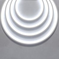 Гибкий неон Led Strip 200951 — фото 4, Комплектующие для освещения