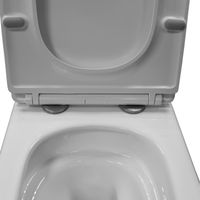 Товар: Унитаз подвесной Azario Armonia с системой смыва Tornado, безободковый с сиденьем микролифт 490*340*360 арт-AZ-2403 - фото 6 Унитаз подвесной Azario Armonia с системой смыва Tornado, безободковый с сиденьем микролифт 490*340*360 арт-AZ-2403 — фото 6, Подвесные унитазы