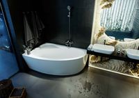 Экран фронтальный к ванне Фиджи 170, левая EKR-F0000085 — фото 2, Экраны для ванн