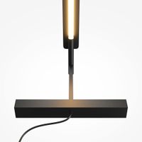 Напольный светильник (торшер) Maytoni MOD214FL-L20B3K — фото 5, Торшеры