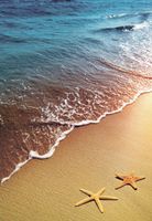 шторка д/в тканевая 180х200см "Морское побережье" MZ-149 — фото 1, Шторки на ванну