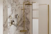 Душевая стойка Allen Brau Fantasy 5.11001-GB золото — фото 1, Душевые стойки