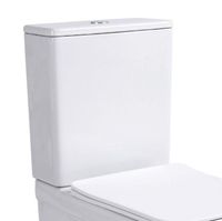 Сливной бачок Aquanet LX-2914 арт-Elegant C2 — фото 1, Комплектующие для туалета