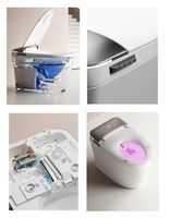 Унитаз ERSILIA Smart напольный с дистанционным управлением Ceruttispa CT10616 (680x400x470) — фото 5, Напольные унитазы