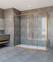 Душевой уголок Garda , 1700*900, брашированное золото, стекло прозрачное арт-VSR-1G29017CLG — фото 3, Прямоугольные душевые уголки