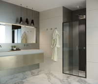 Душевая дверь ALEX BAITLER 6 серия AB61B120 прозрачное стекло — фото 1, Душевые перегородки