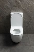 Чаша напольного унитаза Allen Brau Priority Tornado белый глянец арт-4.31006.20 — фото 11, Напольные унитазы