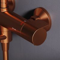 F0785A544 X-Joy, душ.система: см-ль д/ванны/душа с ТМС, душ.штанга,верх.душ 220мм, руч.душ,роз.золо — фото 2, Душевые системы