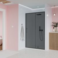 Душевая дверь Veconi Evo 100 B, 1000x1950, черный матовый, стекло тонированное матовое E1-B-100-12-C9 — фото 1, Раздвижные душевые двери