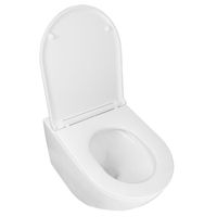 Унитаз подвесной PRO 370х490х360 безободковый, в комплекте с сидением микролифт арт-PRO-0001 — фото 1, Подвесные унитазы