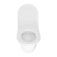 Товар: Унитаз подвесной Azario Felice 490х360х360 безободковый, быстросъемное сиденье микролифт арт-AZ-0051 - фото 12 Унитаз подвесной Azario Felice 490х360х360 безободковый, быстросъемное сиденье микролифт арт-AZ-0051 — фото 12, Подвесные унитазы