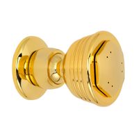 SFERICA Форсунка массажная, золото 20203 — фото 1, Душевые форсунки