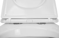 Унитаз подвесной Azario MONEO 530х365х370 безободковый, в комплекте с быстросъемным сидением микролифт арт-AZ-0062 — фото 5, Подвесные унитазы