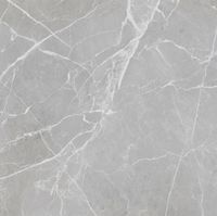 Плитка Geotiles (1,44 кв.м.) арт-Aura Perla 60x60 — фото 1, Керамическая плитка