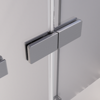 Душевая дверь распашная Veconi Premium Alassio GR, 1300х2000, брашированный графит, стекло прозрачное осветленное AL-130-00-GR-C4 — фото 3, Распашные душевые двери