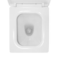 Товар: Унитаз-моноблок Azario RAYO 355х685х775 безободковый,с системой смыва Rimless, с быстросъемным сиденьем микролифт арт-AZ-6385 - фото 6 Унитаз-моноблок Azario RAYO 355х685х775 безободковый,с системой смыва Rimless, с быстросъемным сиденьем микролифт арт-AZ-6385 — фото 6, Напольные унитазы