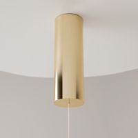 Подвесной светильник Maytoni MOD216PL-L10G3K — фото 13, Подвесные светильники