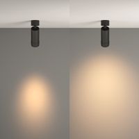 Товар: Потолочный светильник Technical C055CL-L12W3K-Z-B - фото 5 Потолочный светильник Technical C055CL-L12W3K-Z-B — фото 5, Подвесные светильники