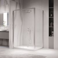 Душевой уголок RGW PA-142 (PA-21+Z-050-5) 1000x900 060814209-11 — фото 7, Душевые уголки