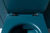 Крышка-сиденье для унитаза Allen Brau Fantasy Soft-Close петроль арт-4.11005.PT — фото 9, Сиденья для унитаза