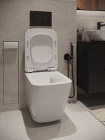 Agger Унитаз подвесной безободковый TORNADO, сиденье с микролифтом арт-AT10150 — фото 3, Подвесные унитазы