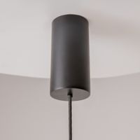 Товар: Подвесной светильник Maytoni MOD263PL-L20B3K - фото 14 Подвесной светильник Maytoni MOD263PL-L20B3K — фото 14, Подвесные светильники