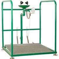 Аварийная платформа с раковиной SCP380SS, шт — фото 1, Аксессуары и оборудование для общественных мест