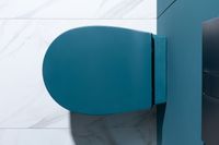 Крышка-сиденье для унитаза Allen Brau Fantasy Soft-Close петроль арт-4.11005.PT — фото 14, Сиденья для унитаза