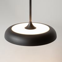 Подвесной светильник Maytoni арт-MOD189PL-L39B3K — фото 10, Подвесные светильники