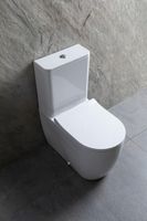 Товар: Чаша напольного унитаза Allen Brau Priority 4.31003.20 белый - фото 21 Чаша напольного унитаза Allen Brau Priority 4.31003.20 белый — фото 21, Напольные унитазы