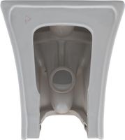 Чаша напольного унитаза Aquanet Rimless CL-12249B арт-Roll-C — фото 8, Напольные унитазы