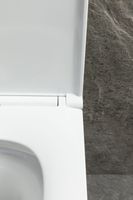 Товар: Чаша подвесного унитаза Allen Brau Priority Tornado 4.31009.20 белый глянец - фото 10 Чаша подвесного унитаза Allen Brau Priority Tornado 4.31009.20 белый глянец — фото 10, Подвесные унитазы