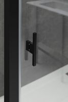 Душевая дверь Allen Brau Priority 120 3.31033.BBA профиль Черный браш стекло прозрачное — фото 24, Распашные душевые двери