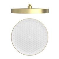 Верхний душ Raglo R452.09.03, золотой сатин — фото 1, Верхние души