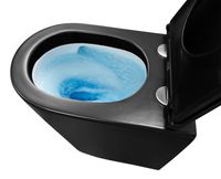 Унитаз подвесной Azario Teramo 355х515х365 смыв "Скрытое торнадо", безободковый, с быстросъемным сиденьем микролифт, черный матовый арт-AZ-0053-UQ3-MB — фото 5, Подвесные унитазы