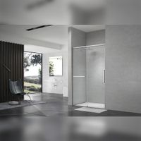 Душевая дверь в нишу Terminus Альба 140х220, хром 1DS140х220C — фото 1, Раздвижные душевые двери