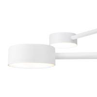 Потолочный светильник Freya арт-FR5363CL-04W — фото 5, Подвесные светильники