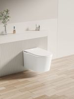 Товар: Унитаз подвесной Allen Brau Smart белый, с функцией биде арт-4.I1001.20 - фото 7 Унитаз подвесной Allen Brau Smart белый, с функцией биде арт-4.I1001.20 — фото 7, Подвесные унитазы