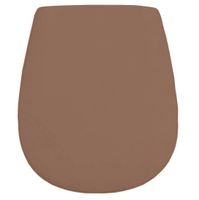 Товар: Сиденье с крышкой Artceram Azuley с плавным опусканием цвет Brown tortora AZA001 40 71 - фото 1 Сиденье с крышкой Artceram Azuley с плавным опусканием цвет Brown tortora AZA001 40 71 — фото 1, Сиденья для унитаза