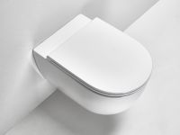 Товар: КОМПЛЕКТ Унитаз SIMAS TREVI подвесной безободковый с сиденьем с крышкой с микролифтом цвет белый матовый TR18/F85.BM+TR004.BM TR18/F85.BM+TR004.BM - фото 3 КОМПЛЕКТ Унитаз SIMAS TREVI подвесной безободковый с сиденьем с крышкой с микролифтом цвет белый матовый TR18/F85.BM+TR004.BM TR18/F85.BM+TR004.BM — фото 3, Подвесные унитазы