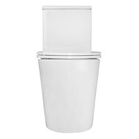 Унитаз-моноблок Azario Scala 360х690х790 безободковый, слив "Торнадо", с быстросъемным сиденьем микролифт арт-AZ-8101 — фото 9, Напольные унитазы