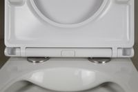 Товар: Унитаз подвесной Azario PRO 340х490х350 безободковый, в комплекте с быстросъемным сидением микролифт (PRO-002) арт-PRO-0002 - фото 3 Унитаз подвесной Azario PRO 340х490х350 безободковый, в комплекте с быстросъемным сидением микролифт (PRO-002) арт-PRO-0002 — фото 3, Подвесные унитазы